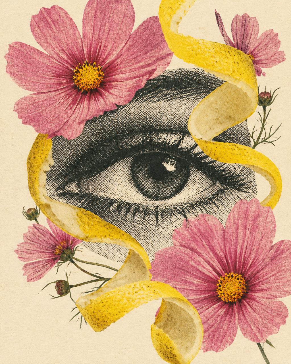 Collage of an eye with flowers and lemon peel — perception reference